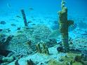 Bonaire - pink beach 2